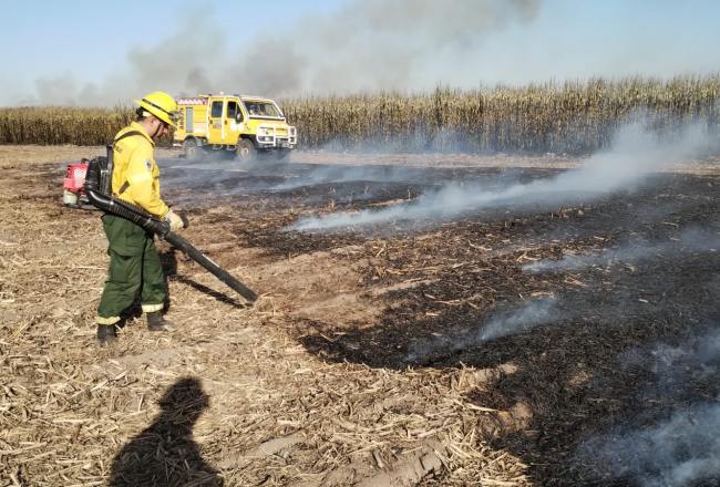 Desde el IPAAT le respondieron al Centro Azucarero sobre la quema de caña