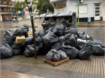 Se pone en marcha la Brigada Ambiental Municipal en la Capital