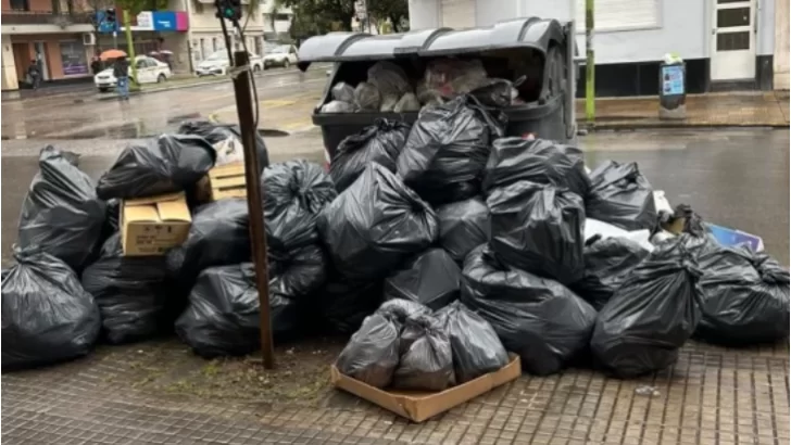 Se pone en marcha la Brigada Ambiental Municipal en la Capital