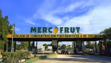 Preocupación en el Mercofrut por la baja en las ventas