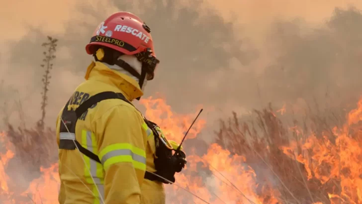 Preocupación de Greenpeace por los incendios en Córdoba