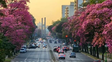 Cómo estará el tiempo este fin de semana