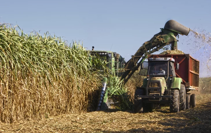 Zafra 2024: se prevé buenos volúmenes para la producción de azúcar y bioetanol