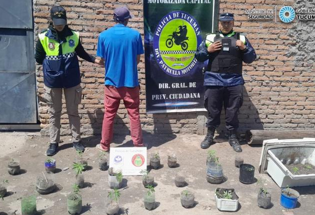 La Policía atrapó a un sujeto que tenía 32 plantines de marihuana en su casa