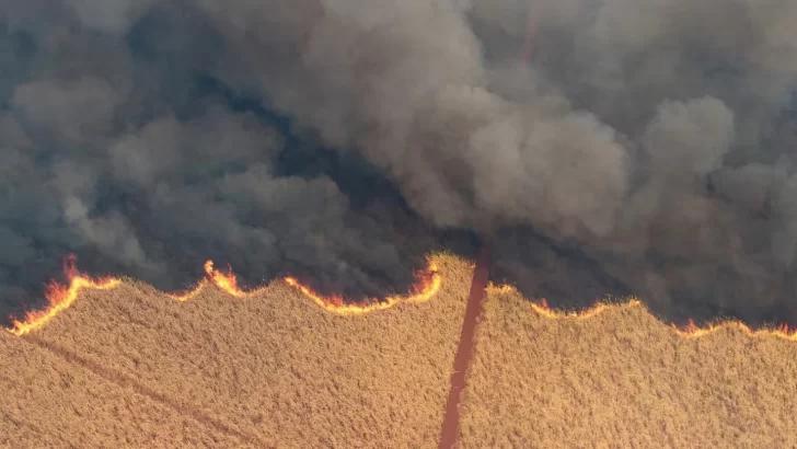 Emitieron una alerta violeta por humo en la provincia de Tucumán