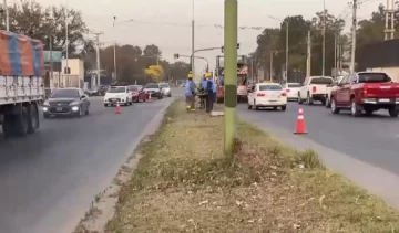 Avanza la recuperación de accesos a la Capital tucumana con trabajos de revalorización y forestación