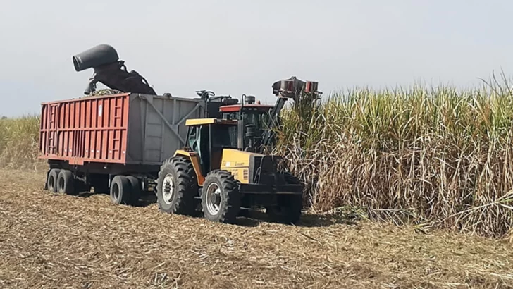 La zafra en Tucumán se extenderá hasta fines de octubre