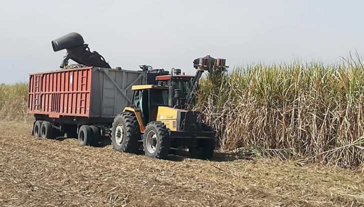 La zafra en Tucumán se extenderá hasta fines de octubre