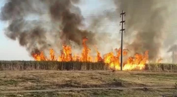 La quema de cañaverales provocó cortes de suministro de energía en el sur de la provincia