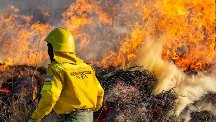 Tucumán se encuentra en alerta roja por incendios