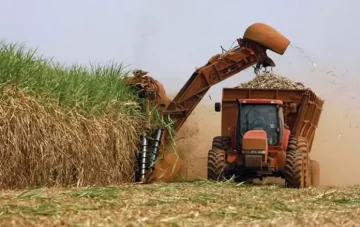 La molienda de caña de azúcar superó el 70%