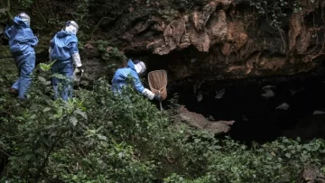 Aseguran que el contacto de mineros con murcielágos disparó brote de un peligroso virus en un país de África