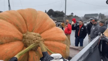 Calabaza gigante rompió récords: pesó más de mil kilos