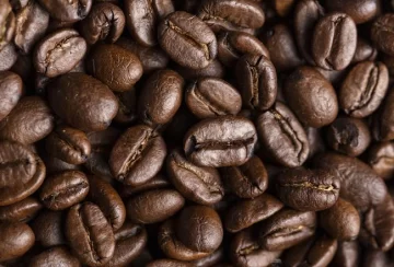 Día Internacional del Café: el IDEP impulsa el cultivo en Tucumán para fortalecer la diversidad productiva