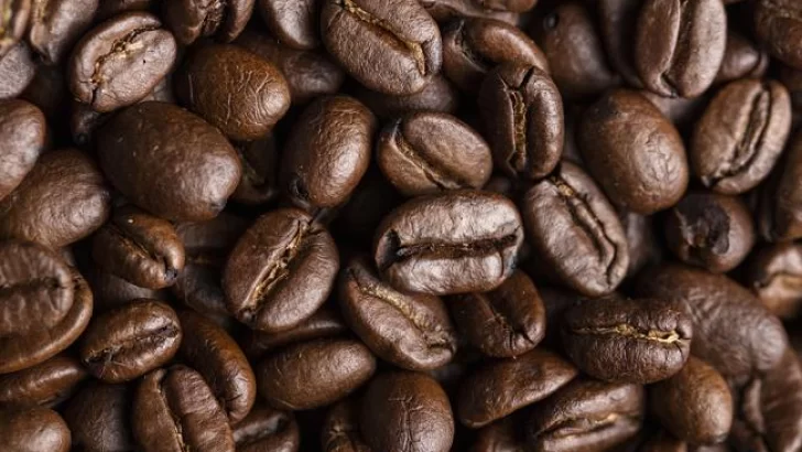 Día Internacional del Café: el IDEP impulsa el cultivo en Tucumán para fortalecer la diversidad productiva