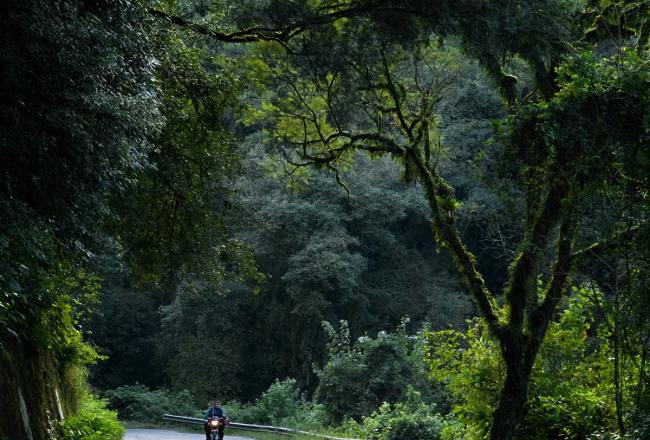 Invitan a la comunidad a opinar sobre la postulación de las Yungas en UNESCO