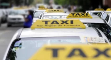 La Municipalidad avanza en la creación de una aplicación para modernizar el servicio de taxis