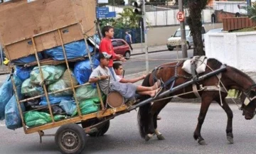 Promulgaron la ley que prohíbe el uso de animales para la tracción de cargas en toda la provincia