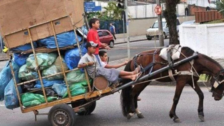 Promulgaron la ley que prohíbe el uso de animales para la tracción de cargas en toda la provincia