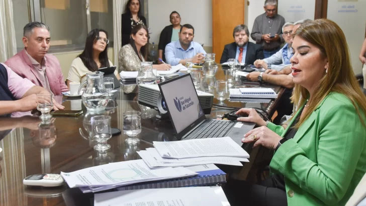 El Municipio presentó ante el Concejo Deliberante los avances de la gestión en materia ambiental