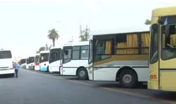 Presentaron 40 nuevas unidades de transporte con una inversión de 5 mil millones de pesos