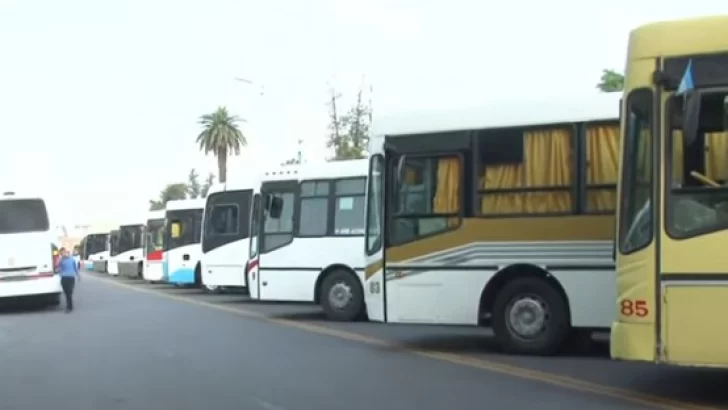 Presentaron 40 nuevas unidades de transporte con una inversión de 5 mil millones de pesos