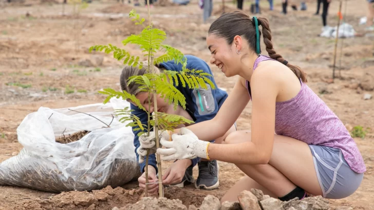 Yerba Buena se prepara para plantar 1.000 árboles en el futuro Parque Julio Prebisch