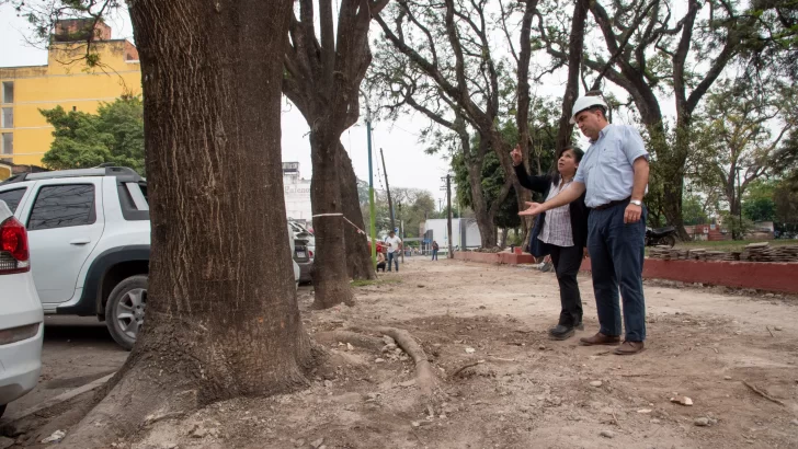 La Plaza Alberdi recupera su arbolado original