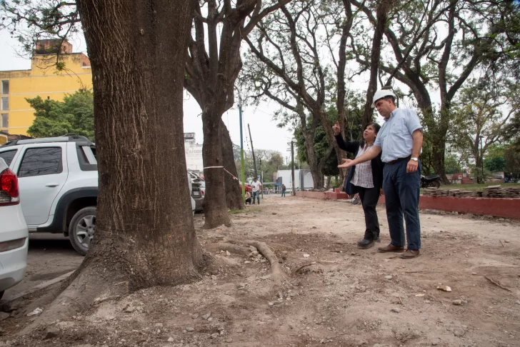 La Plaza Alberdi recupera su arbolado original