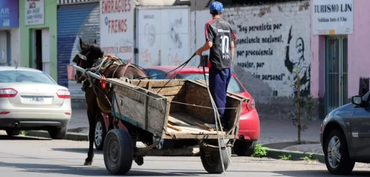 Continúa la polémica por la ley que prohíbe la tracción a sangre en la provincia