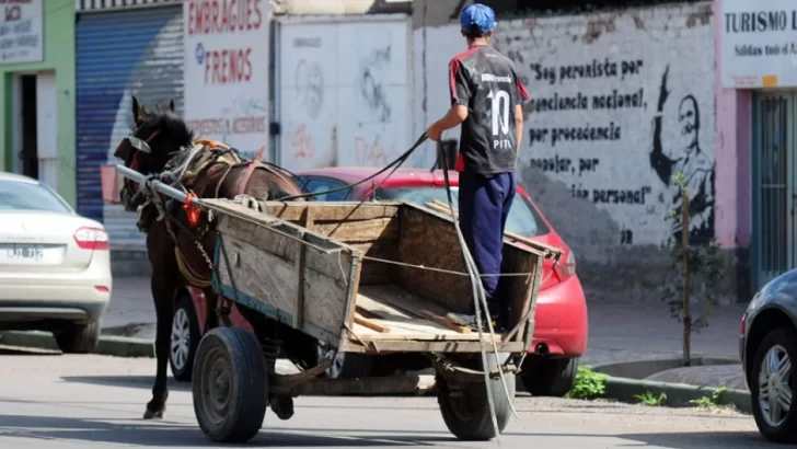 Continúa la polémica por la ley que prohíbe la tracción a sangre en la provincia