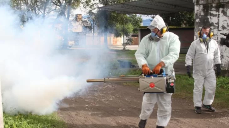 Refuerzan las tareas de fumigación y limpieza para evitar brotes de Dengue