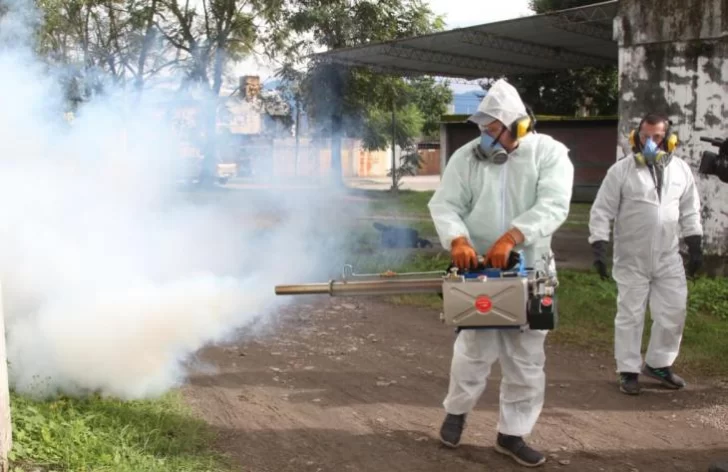 Refuerzan las tareas de fumigación y limpieza para evitar brotes de Dengue