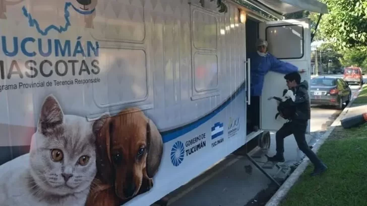 Comienzan a dar turnos virtuales para el programa Tucumán Mascotas