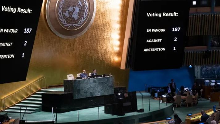 La Argentina fue el único país que votó en contra de “eliminar las formas de violencia contra las mujeres y las niñas”