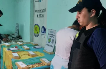 Secuestraron diez ladrillos de marihuana y armas de fuego