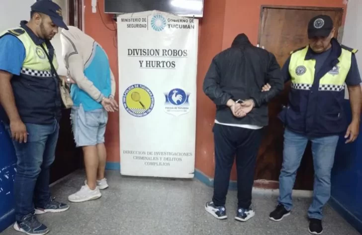 Desbarataron una banda de falsos arbolitos que estafaba a la gente