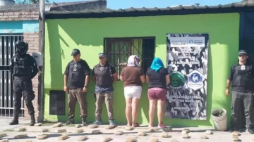 La Policía de Tucumán secuestra 75 kilos de marihuana en un megaoperativo