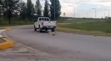 Una camioneta arrastró a un perro hasta un basural en Concepción