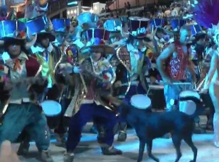 Escándalo en Gualeguaychú: el integrante de una comparsa le pegó a un perro durante el desfile