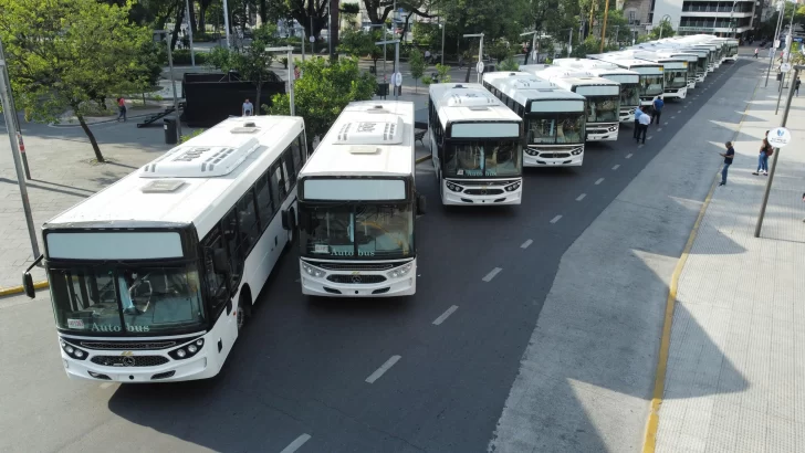 Presentaron 28 nuevos colectivos para fortalecer el transporte público