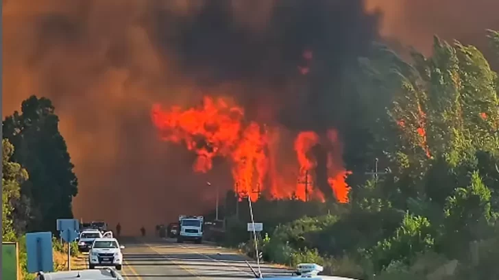 Incendios en El Bolsón: murió un hombre que no quiso evacuar su vivienda