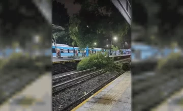 Fuerte temporal en AMBA: quedaron sin servicios de trenes y varios usuarios sin luz