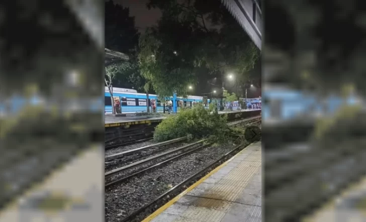 Fuerte temporal en AMBA: quedaron sin servicios de trenes y varios usuarios sin luz