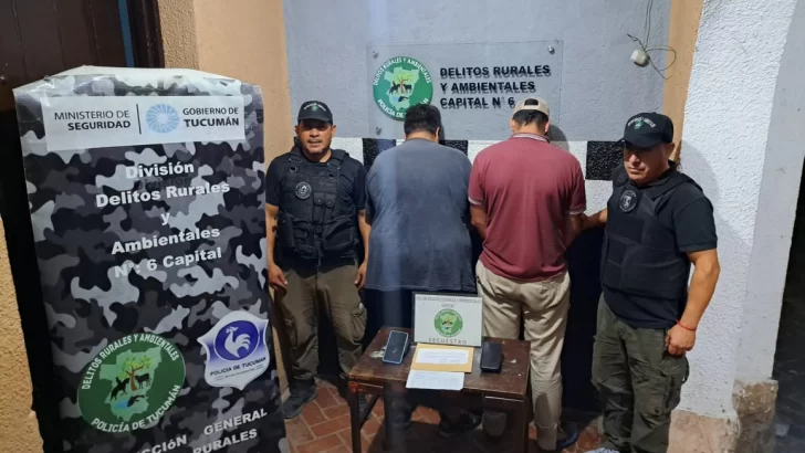 Esclarecen una estafa millonaria y desarticulan una peligrosa banda dedicada a este tipo de delitos