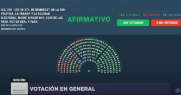 Diputados le dio media sanción a la suspensión de las PASO