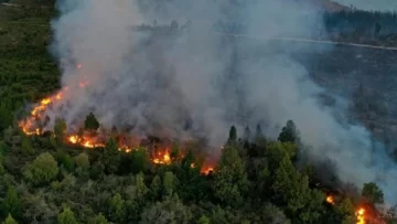 Weretilneck sostuvo que los incendios en la Patagonia “fueron intencionales”