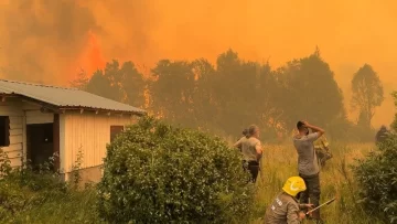 Greenpeace alerta que los incendios en el sur argentino son los peores en tres décadas