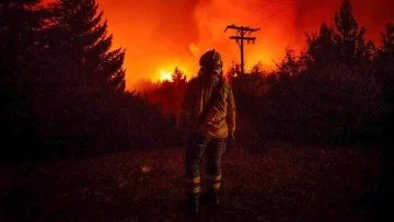 El nuevo subsecretario de Ambiente dijo que el Gobierno falló en la prevención de incendios