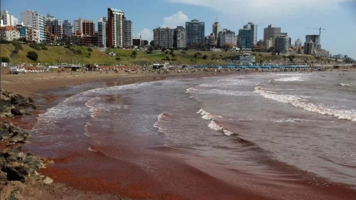 El mar se tiñó de rojo desde Mar del Plata a Necochea